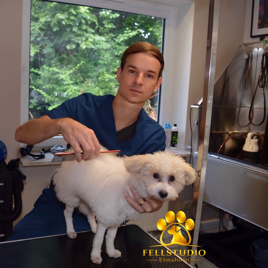 Nikita, zertifizierter Hundefriseur, im Fellstudio Elmshorn